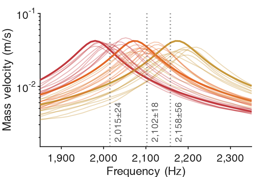 FEM and experimental velocity frequency response comparison for locally resonant metamaterial