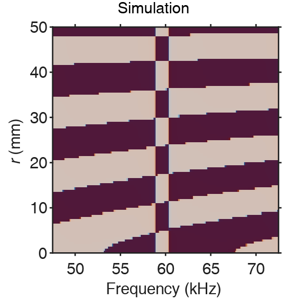 FEM-predicted modal analysis phase at 8th eigenmode