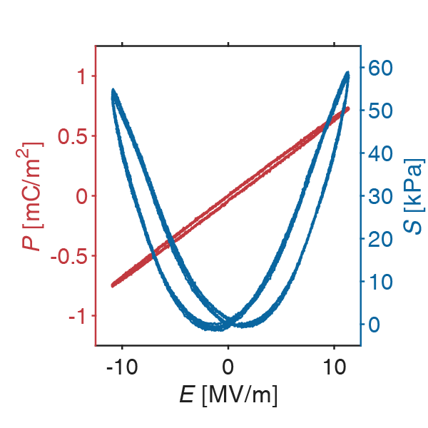 Polarization-electric field and strain-electric field hysteresis curves of piezoelectric polymer